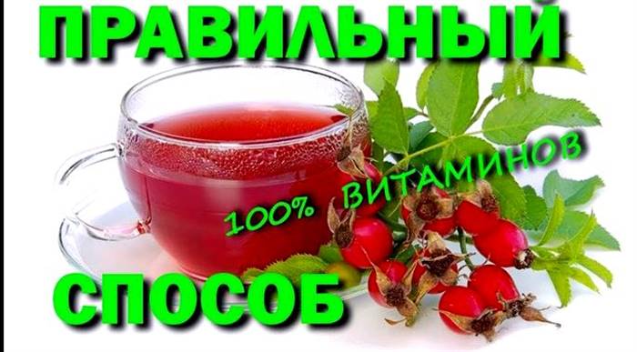 Як правильно заварювати шипшину щоб зберегти вітаміни Шипшина від маточного